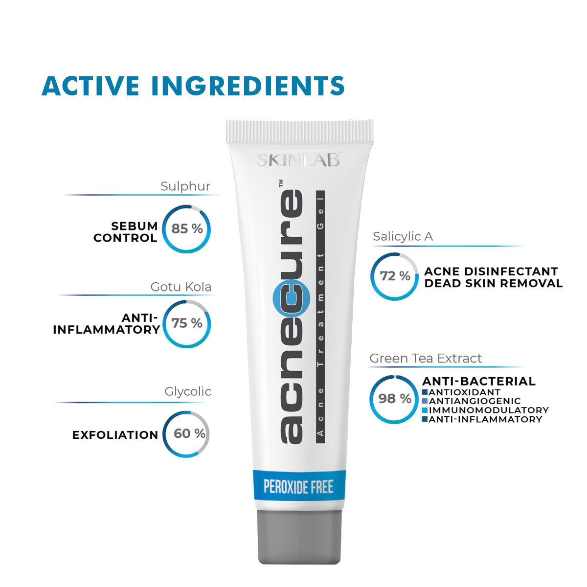 skinlab acnecure gel ingredients