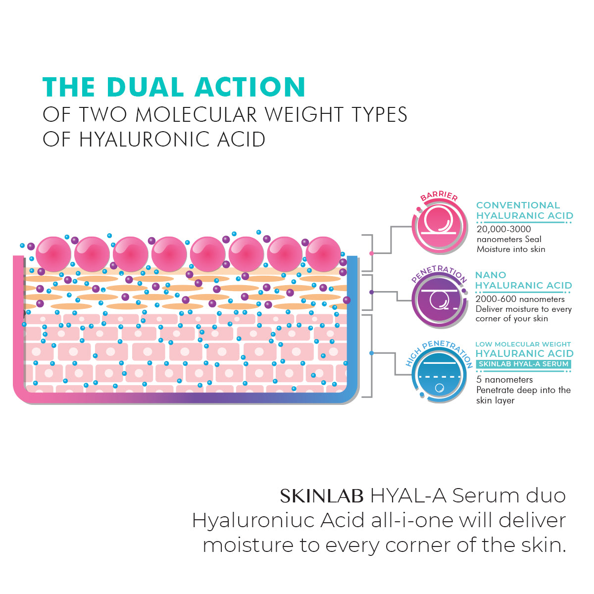 Skinlab two molecular types of hyaluronic acid